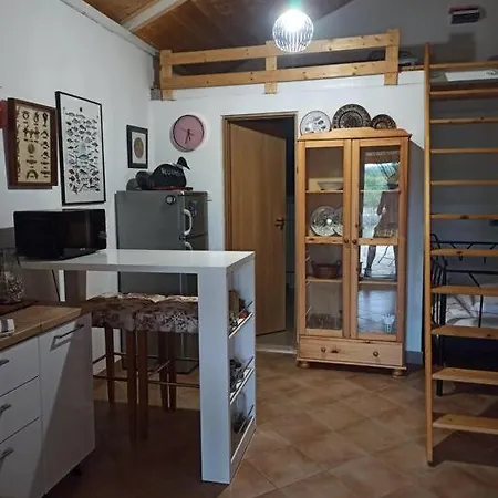 Rare Find! Dogs Welcome Secluded Comfy House Krk * シロ